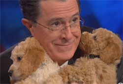 Stephen Colbert & Lesbian Puppies