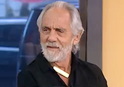 tommy chong on fox