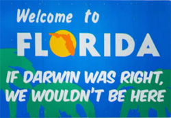 Darwinism in Florida