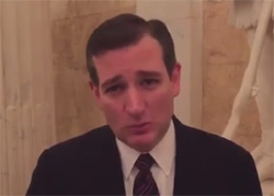 Ted Cruz not ready for prime time