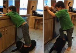 Facebook Users Outraged: Sarah Palin Shares Photos of Son Trig Stepping on Dog  