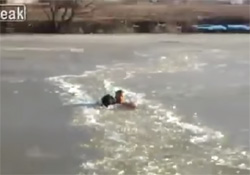 Man saves dog drowning in ice