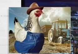 Last Week Tonight with John Oliver: 'Chickens' or Tell Your Rep to vote against inhumanity to poultry farmers!