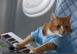 Delta Safety Video is  Packed  With Internet Meme Overload!