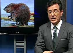 Stephen Colbert Returns with Monroe Muskrat