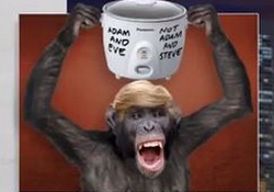 John Oliver Rates Dull, Boring Tim Kaine Over Mike Pence & Face-Biting Chimpanzee! 