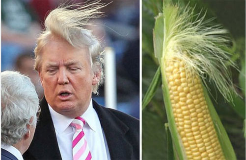 Donald Trump stars in the Corn Identity