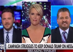 Megyn Kelly flips out when Trump surrogate says wheelchair ramps cost a lot of money