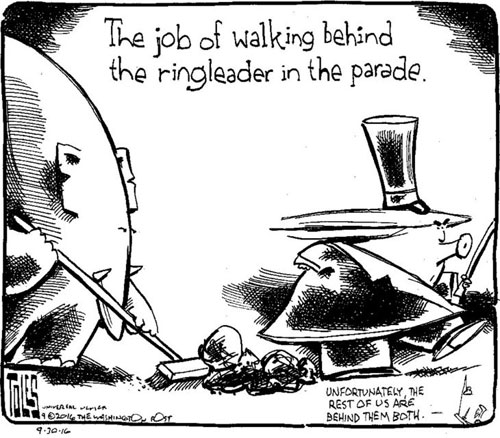 The circus, the elephant cleans up after the pigleader