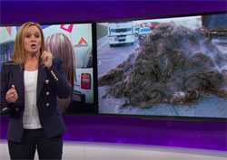 Full Frontal Samantha Bee, no elephant tears for the GOP 