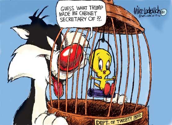 Trump Administration, Sylvester in the Tweety Cage