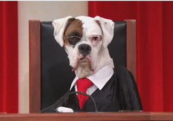 Last Week Tonight John Oliver: Supreme Dog Court