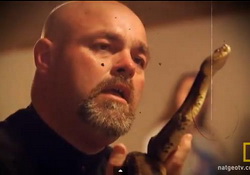 Snake Handling Pastor Jamie Coots of 'Snake Salvation' Dies of Snake Bite 