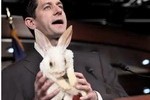 ONION  Paul Ryan's Bizarre DIY Budget Plan is Rabbit Centirc