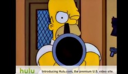 Homer Simpson Video Clip: Gun Control in America  