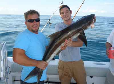 cobia, ling offshore fishing