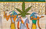 420 egyptian pot head
