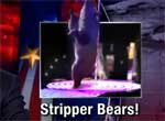 stripper bears