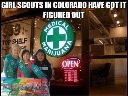 girl scout marijuana smart