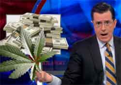 stephen Colbert marijuana