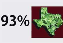 93% of Texans legalize weed