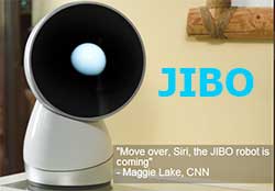 JIBO home Robot