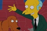 Simpson's wealthy one percenter Mr. Burns campaigns for Mitt Romney, and further mistreats Romney family pooch Shamus  