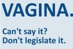 Rep. Lisa Brown silenced for use of word vagina in Michigan legislature
