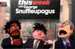 daily show muppets