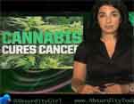 Julianna Forlano and Absurdity Today! Pot cures cancer