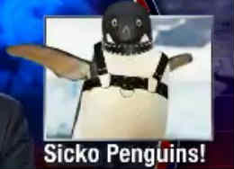 colbert penguin perverts